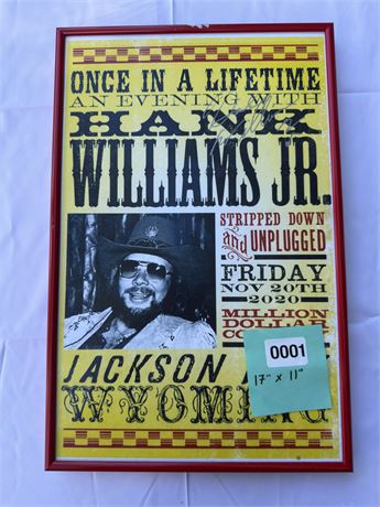 Hank Williams Jr. 'Once in a Lifetime' Concert Poster