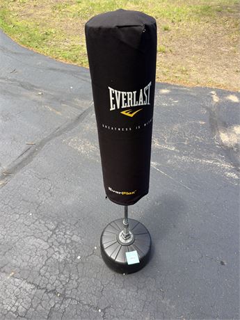 Everlast Kick and Punching Bag