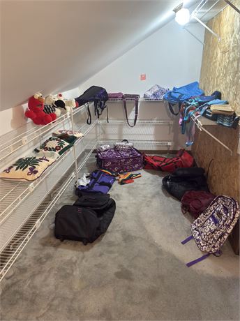 Assorted Used Bags Lot